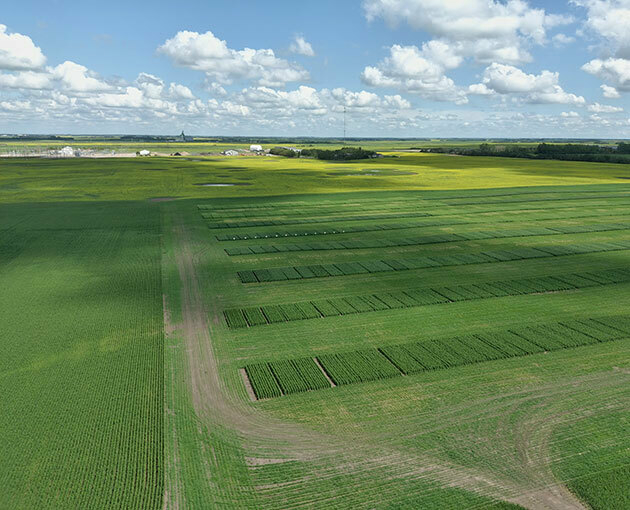 Research Farm (Aerial) - 2022