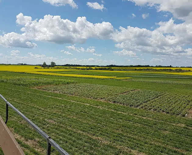 Research Farm (Tour) - 2020