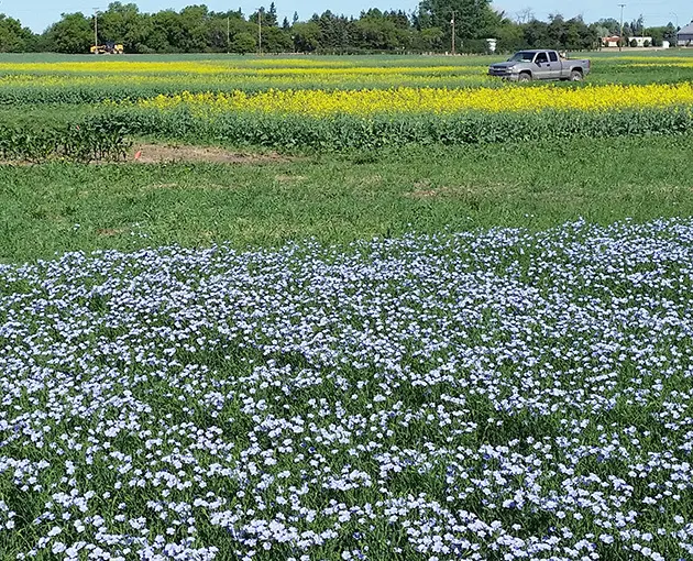 Research Farm (Tour) - 2017