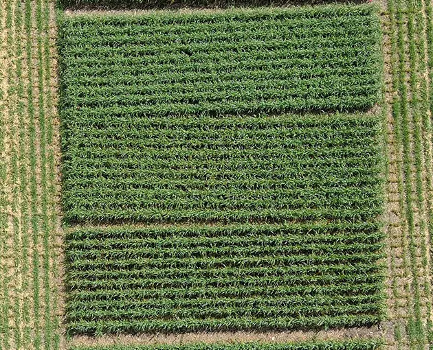 Research Farm (Drone) - 2022