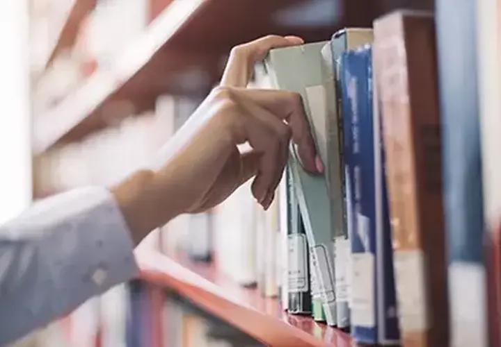 First Year of University