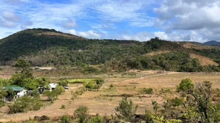 Landscape scene 4